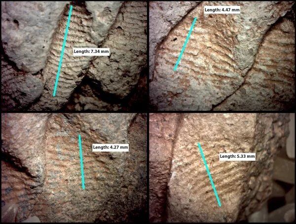 Fingerprints found on pottery shards unearthed in the southwestern United States