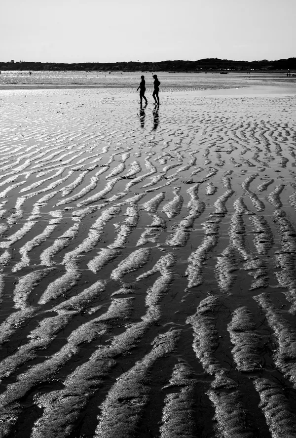 Low Tide Walkers thumbnail
