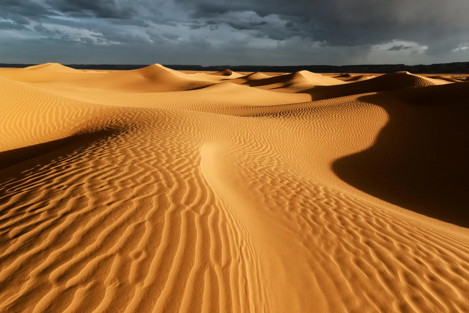 Beautiful scene of large space of dune sandy land, Sahara against