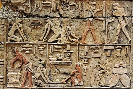 Brewing beer and other fermented beverages was a crucial activity for humans throughout history. 