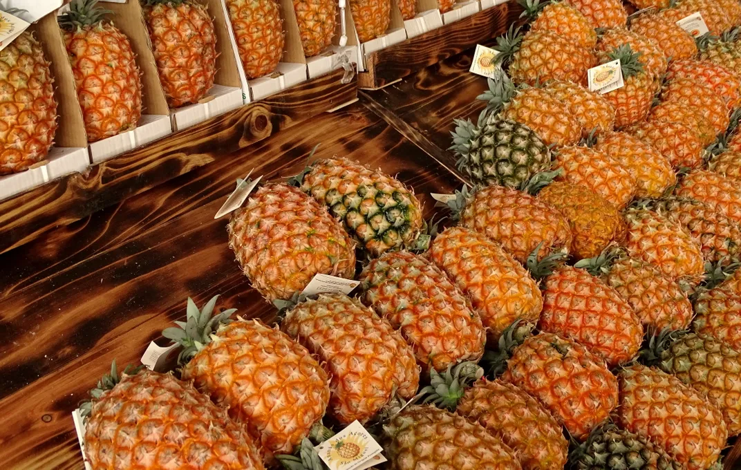 Pineapples, a key crop of São Miguel Island