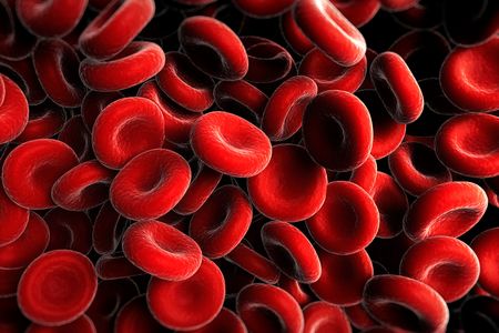 Donated blood must be matched carefully with donors to prevent a negative immune reaction--but new research may make it possible to create more universal blood.