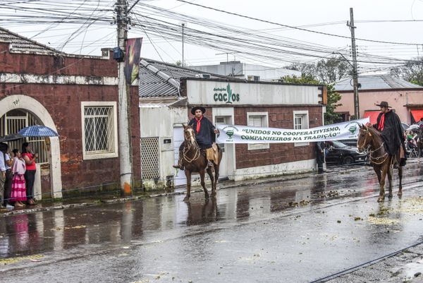 Matters of tradition thumbnail