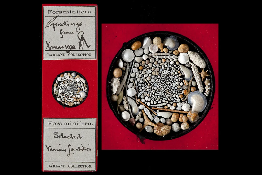 red Christmas fossil card 1921