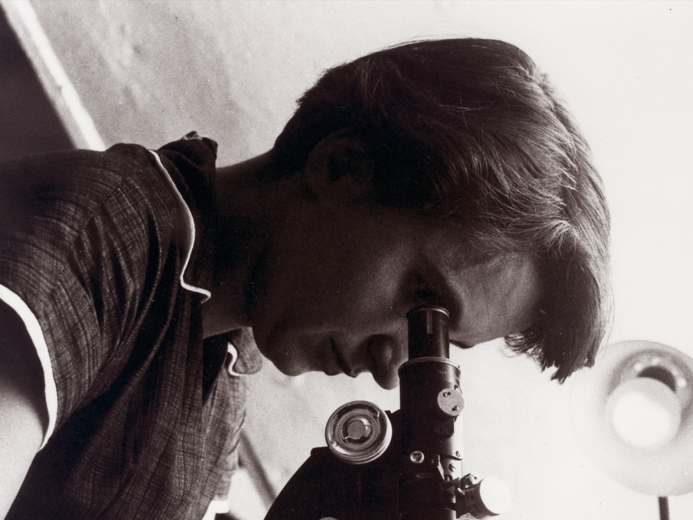 Rosalind Franklin