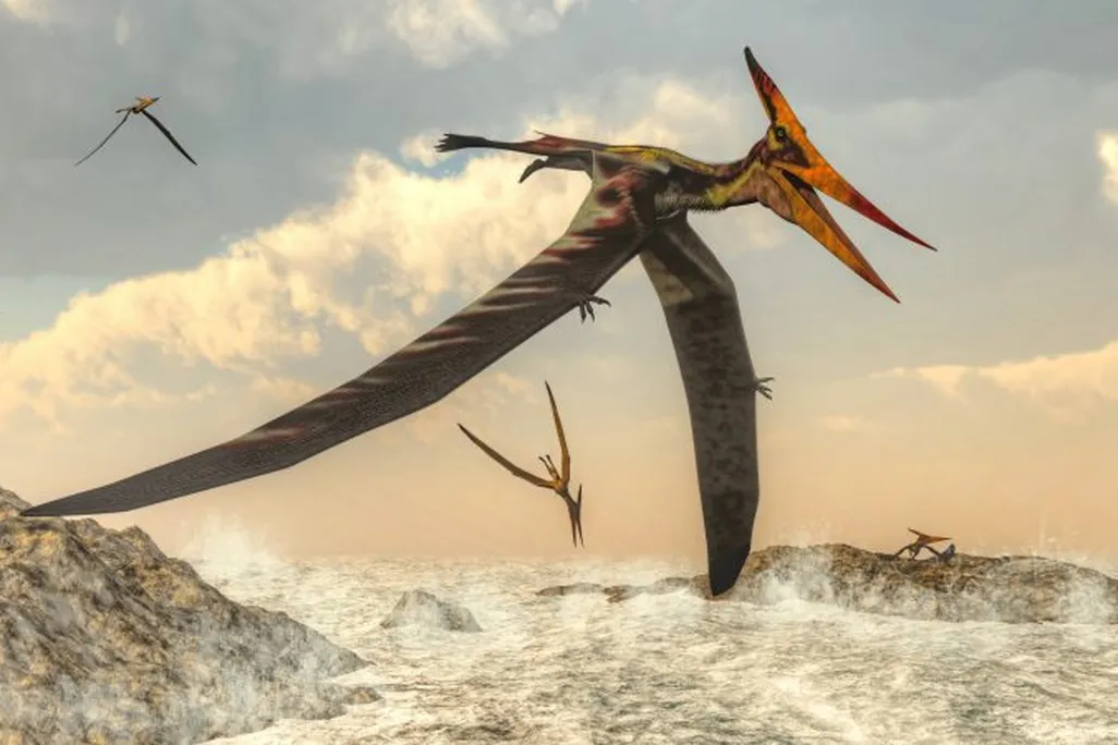 Pteranodon