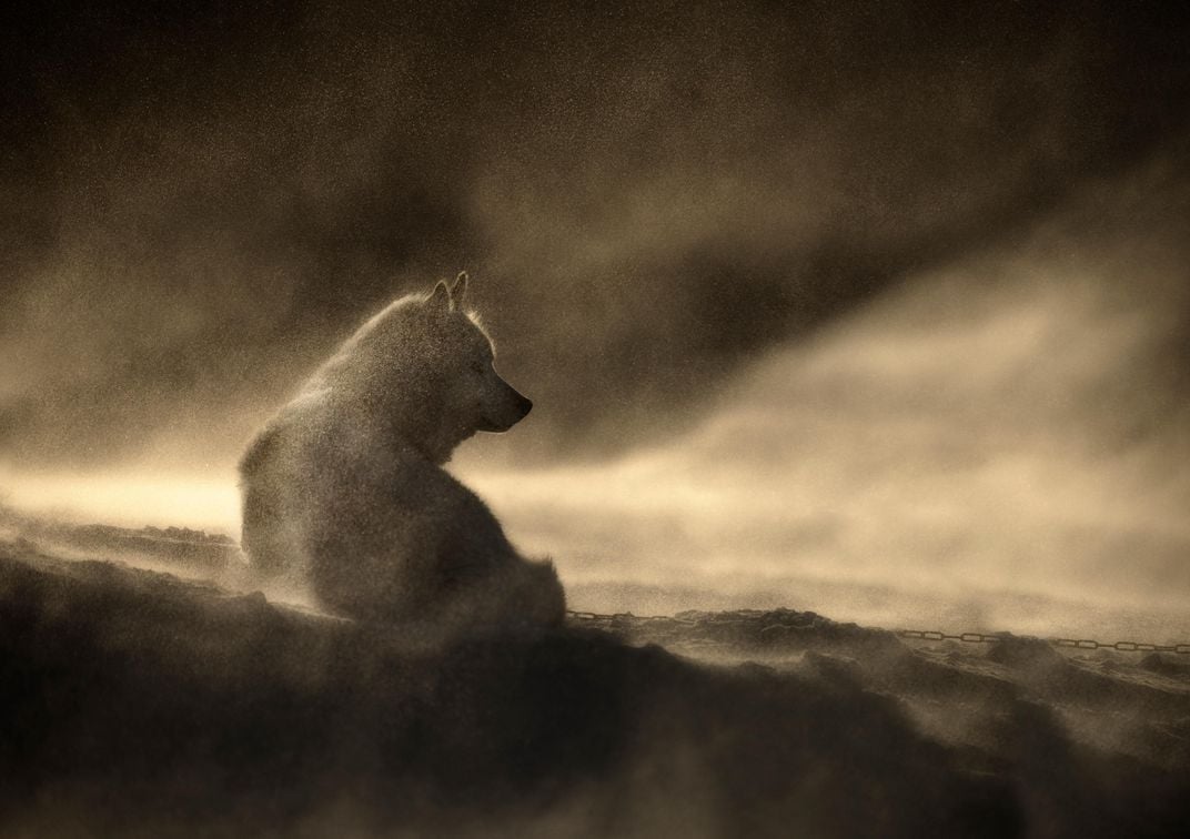 This Photographer Captures the Beauty and Drama of East Greenland at Winter's End