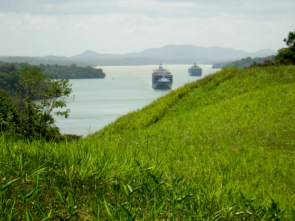 Many terrestrial birds disappeared in Barro Colorado Island, in the Panama Canal, despite their abundance in adjacent mainland forests, because they could not cross Gatun Lake to maintain populations on the island. (Ghislain Rompre)