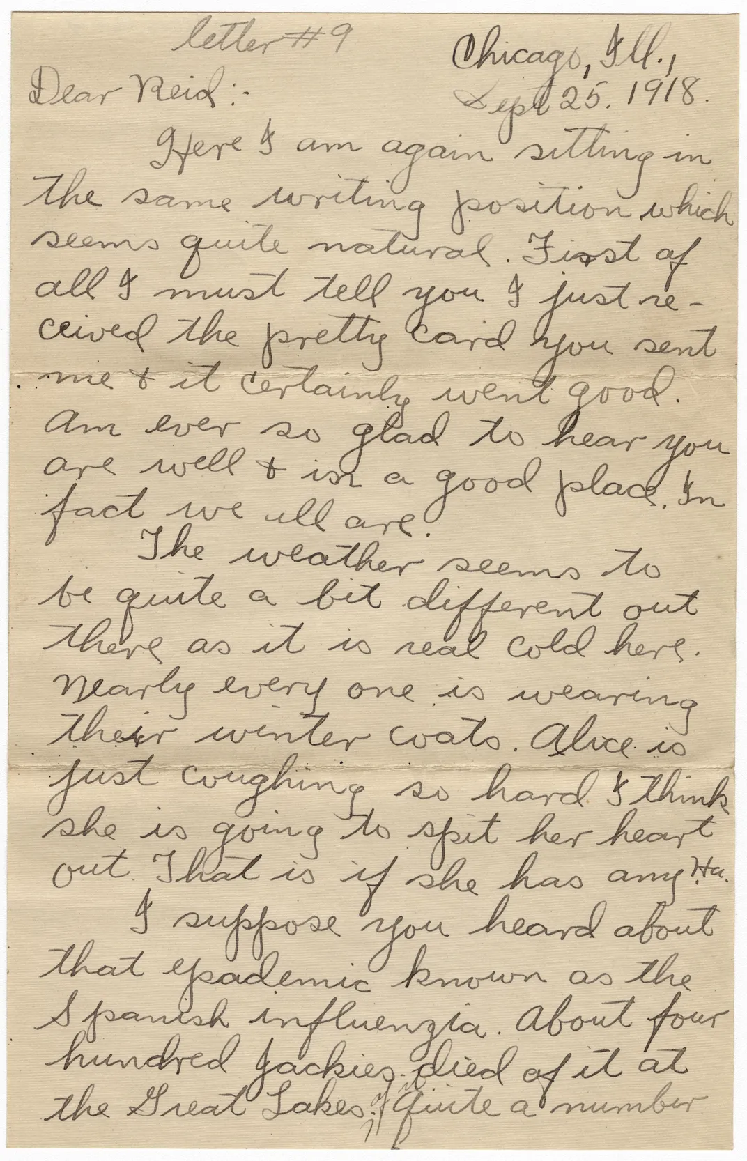 Clara Wrasse letter