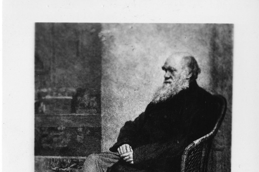 Charles Darwin