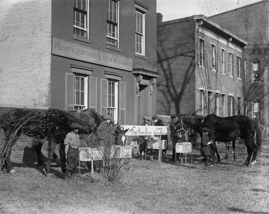 View of 1923 Christmas horse party in Washington, D.C.