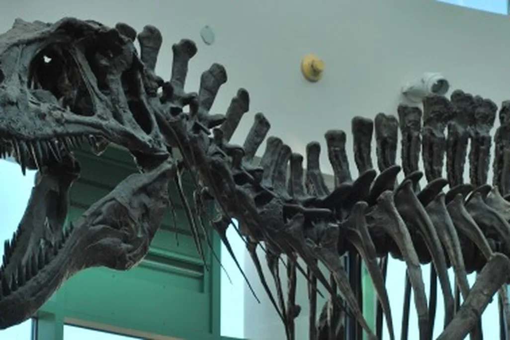 Acrocanthosaurus