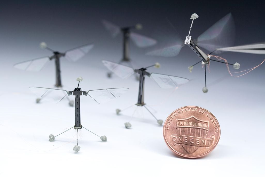 RoboticInsectPhoto01.jpg