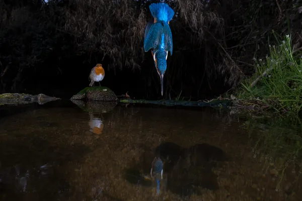 The Master and the Witness thumbnail