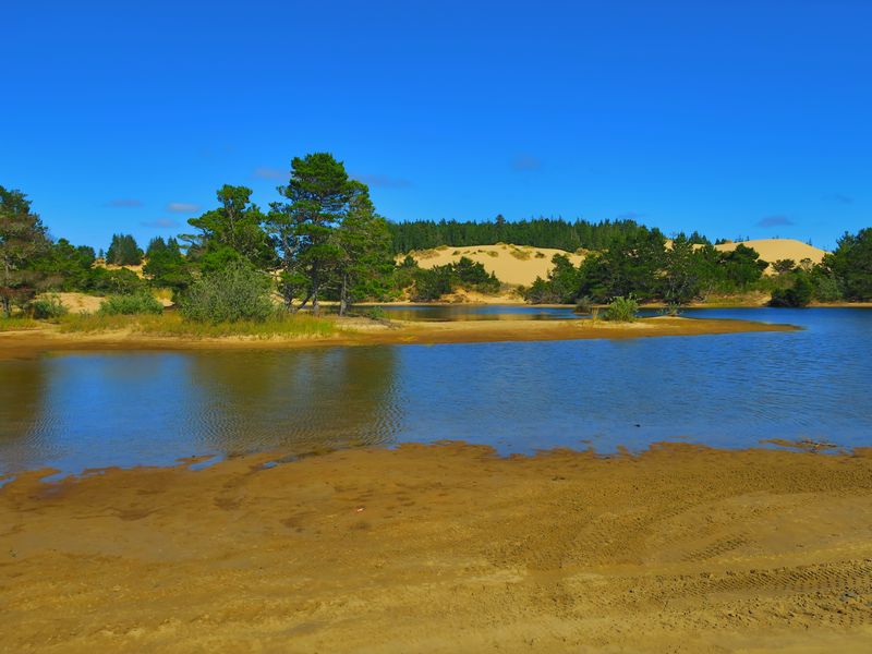 Oregon Dunes National Recreation Area Smithsonian Photo Contest