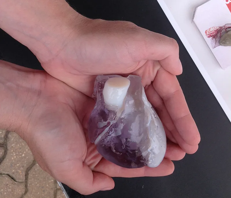 heart-in-hand.jpg