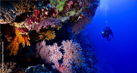 Osprey Reef, one of five reefs that will have have full national park-level protection in Australia.