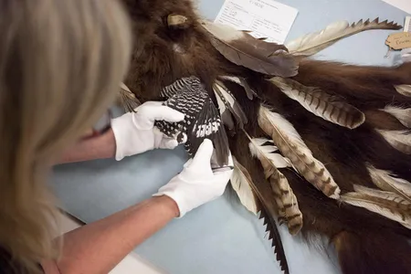 The bird feathers attached to artifacts in the John Wesley Powell collection can give anthropologists further insight into customs and trade.