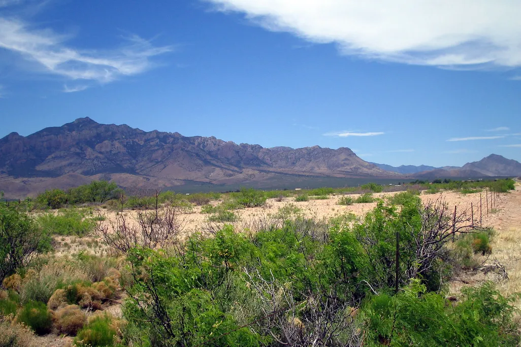 Chiricahua Mountains
