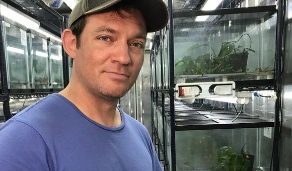 dr-luke-linhoff-collecting-mucus-from-a-frog-at-the-panama-amphibian-rescue-and-conservation-project_50617355846_o.jpg