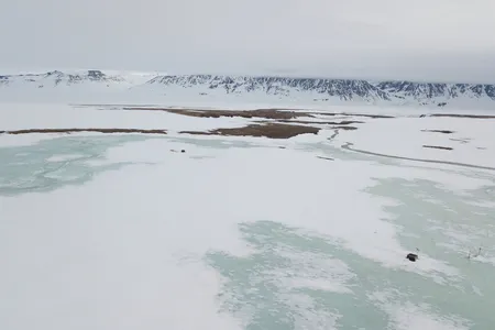 Summer snowpack at Zackenberg in 2018.