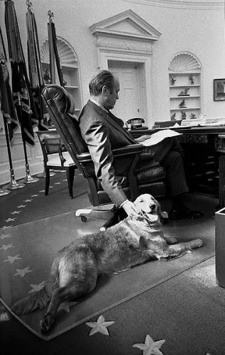 Ford in the Oval Office with his golden retriever