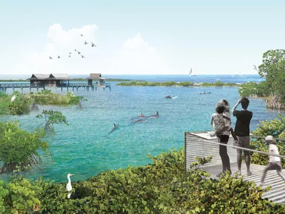 Artist's rendering of the first U.S. dolphin sanctuary