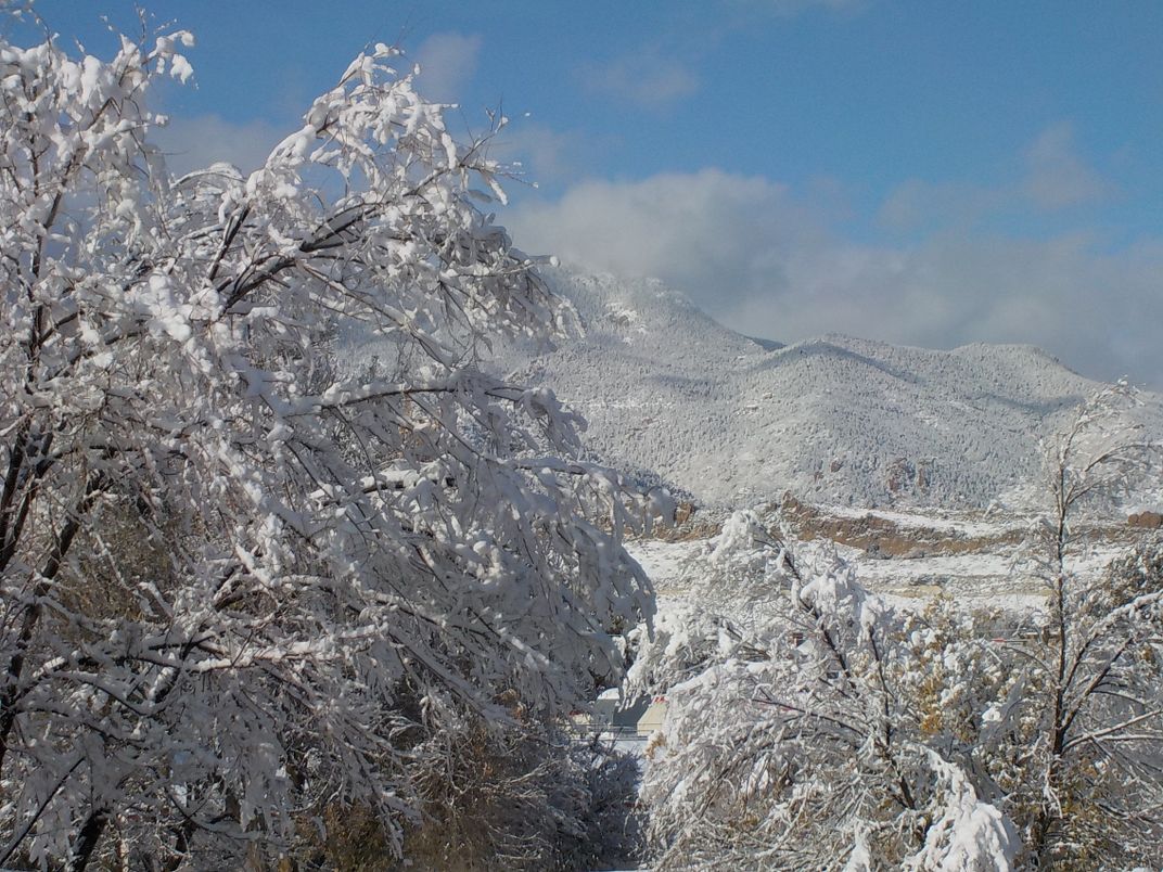 The first snowfall of the year | Smithsonian Photo Contest ...