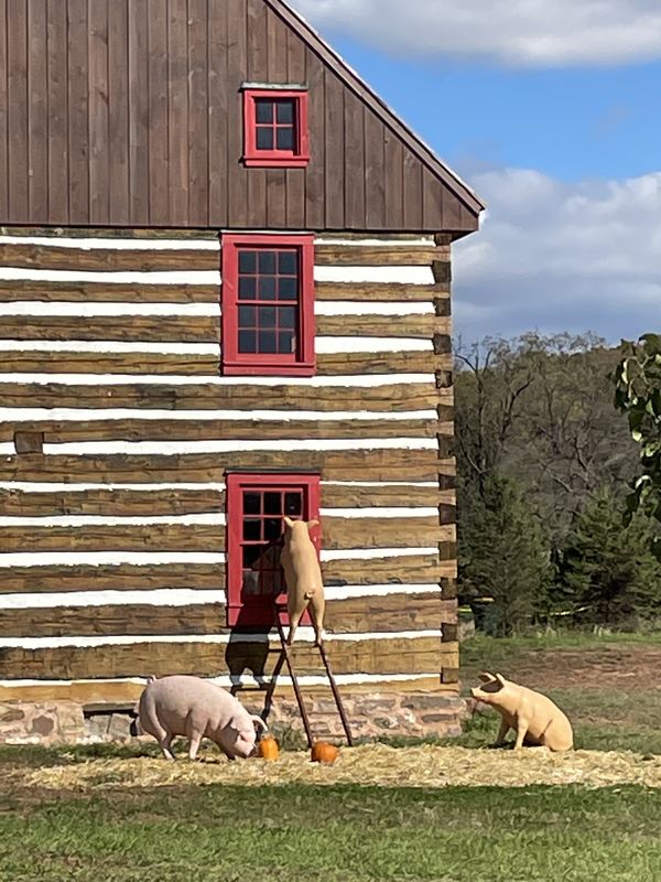Three little pigs peeking in at log cabin renovations thumbnail