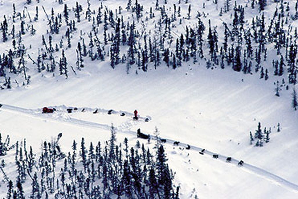 Writers covering the Iditarod race have the best seat in the house: a heated airplane cockpit.