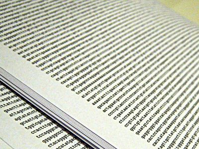 A human genome, printed