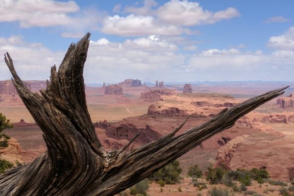 Monument Valley through the Branches thumbnail