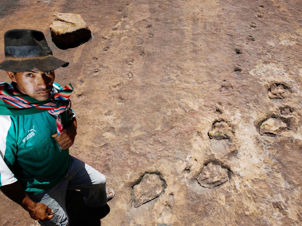 Dinosaur Footprints