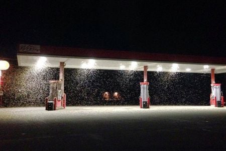Mayflies at a gas station in the Trempealeau Mountain Staet Natural Area