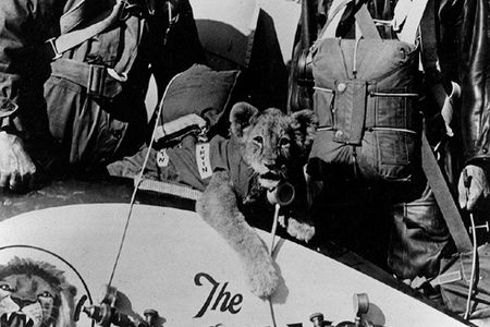 Colonel Roscoe Turner, Gilmore the lion, and Donald A. Young, posed behind left wheel cover of Lockheed Express 3.