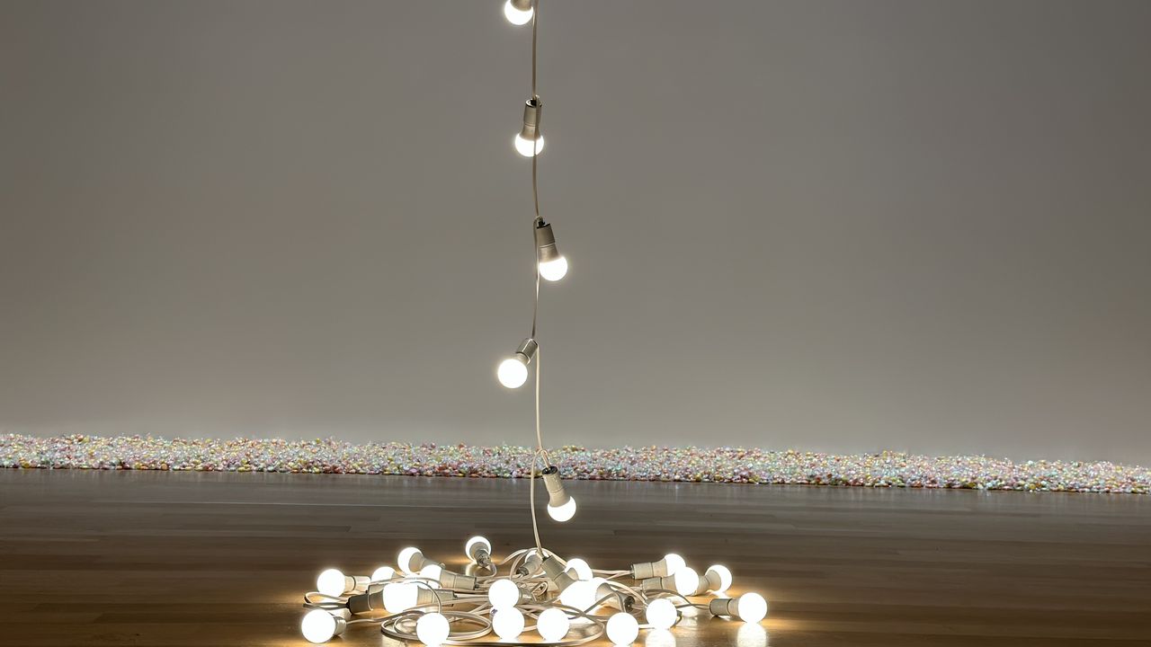 From Candy to Lightbulbs, Felix Gonzalez-Torres Showed Life and