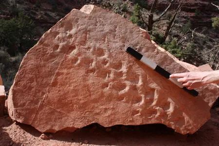 Geologist Allan Krill spotted these markings on a boulder the side of the Bright Angel Trail in 2016. The boulder weighs several hundred pounds. 