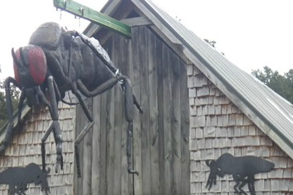 This oversized replica reminds passersby that sandflies could be a lot nastier than they are.
