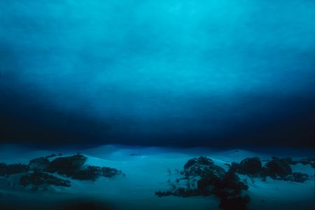 The vast unknown deep sea floor