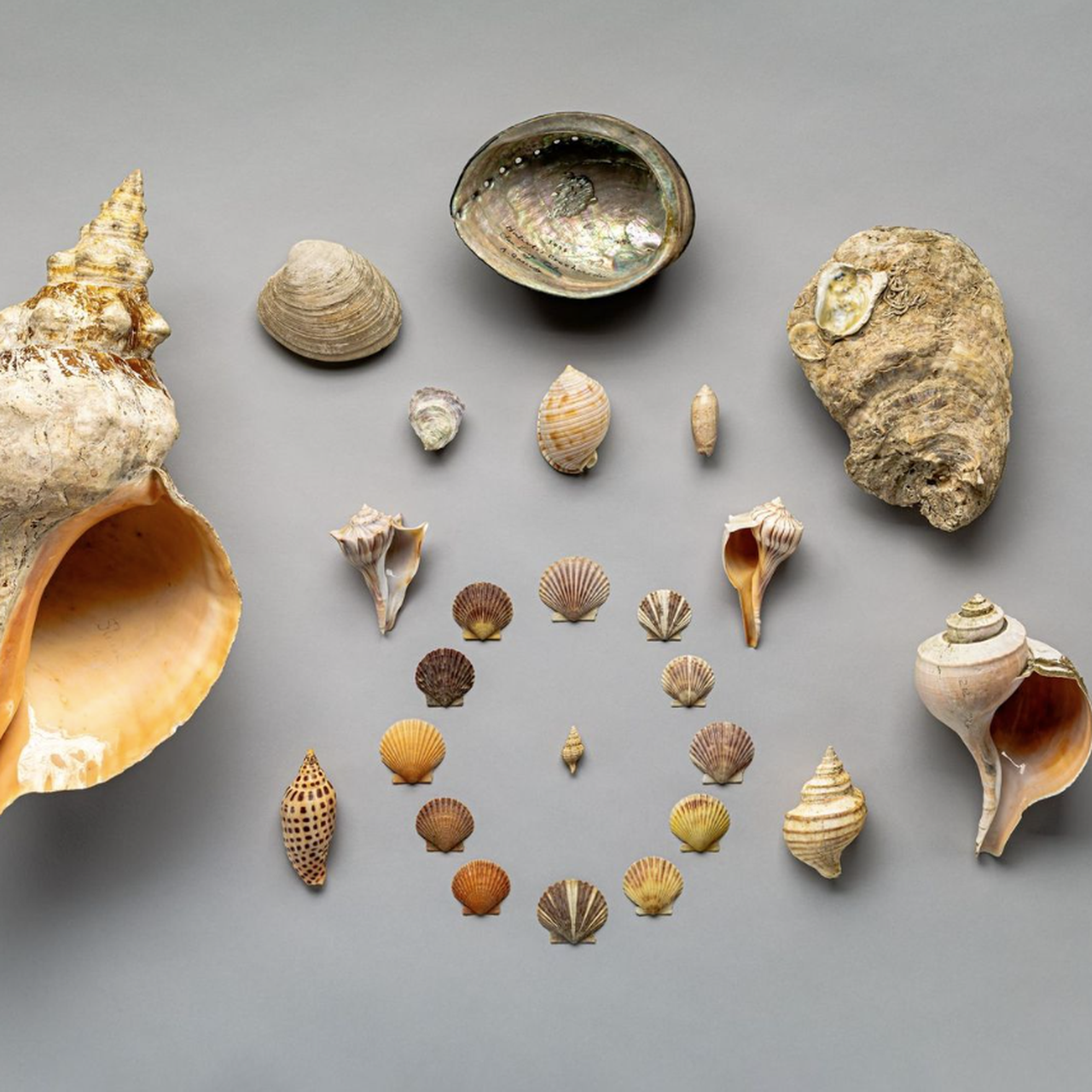 New Smithsonian Exhibition to Showcase Objects From All 50 States
