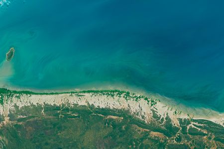 This image, taken from space last summer, shows a long swath of dead mangroves on Australia's northern coast. 