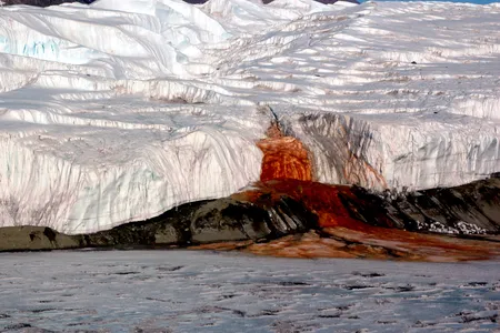 Blood Falls seeps from the end of the Taylor Glacier into Lake Bonney.
