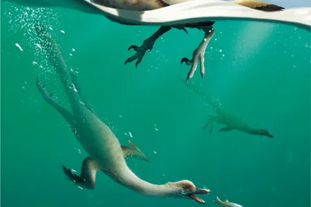 Natovenator likely swam to catch small prey.