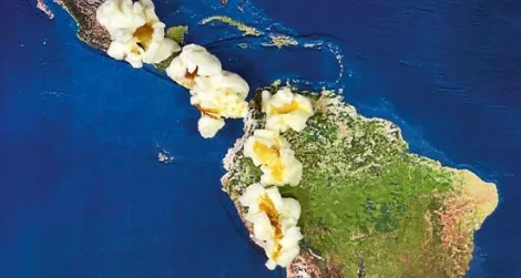 A recent study indicates that ancient peoples in Peru were eating popcorn.