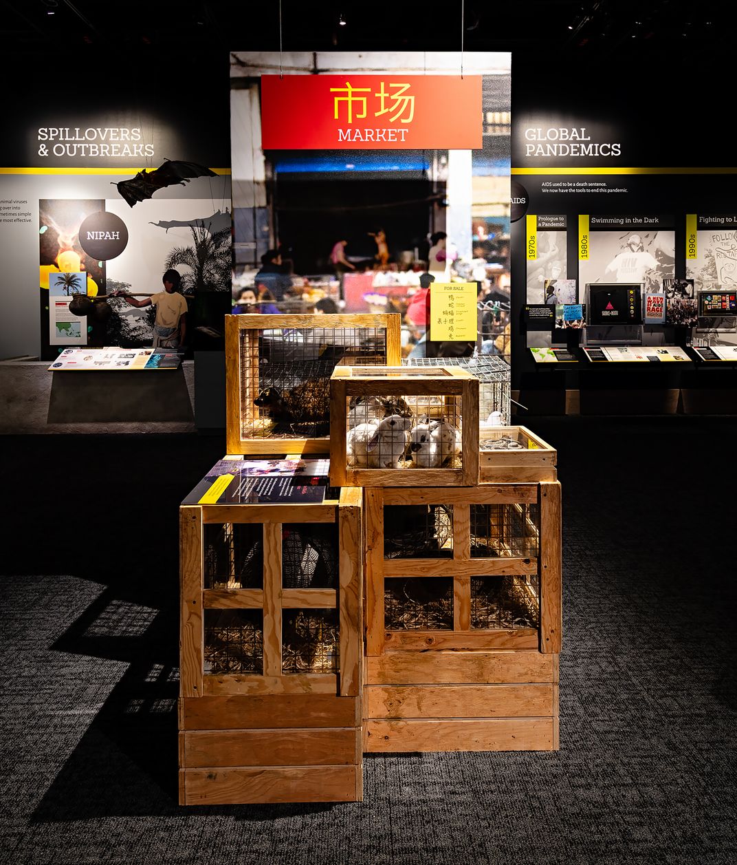 A display consisting of replicated wild animals in wooden crates to mimic a live animal market in an exhibition about pandemics at the Smithsonian's National Museum of Natural History. 