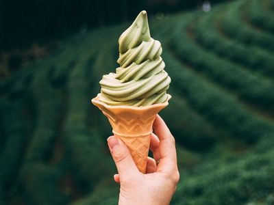 From forests to fish to flakes of snow, the science behind ice cream reaches beyond the cone.