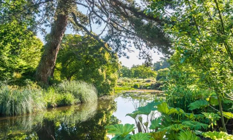 Botanic Garden