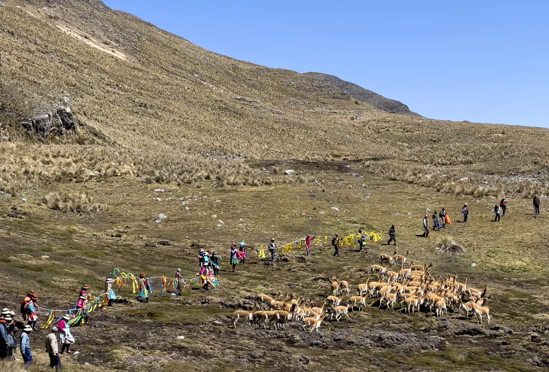 high puna ecosystem in Peru