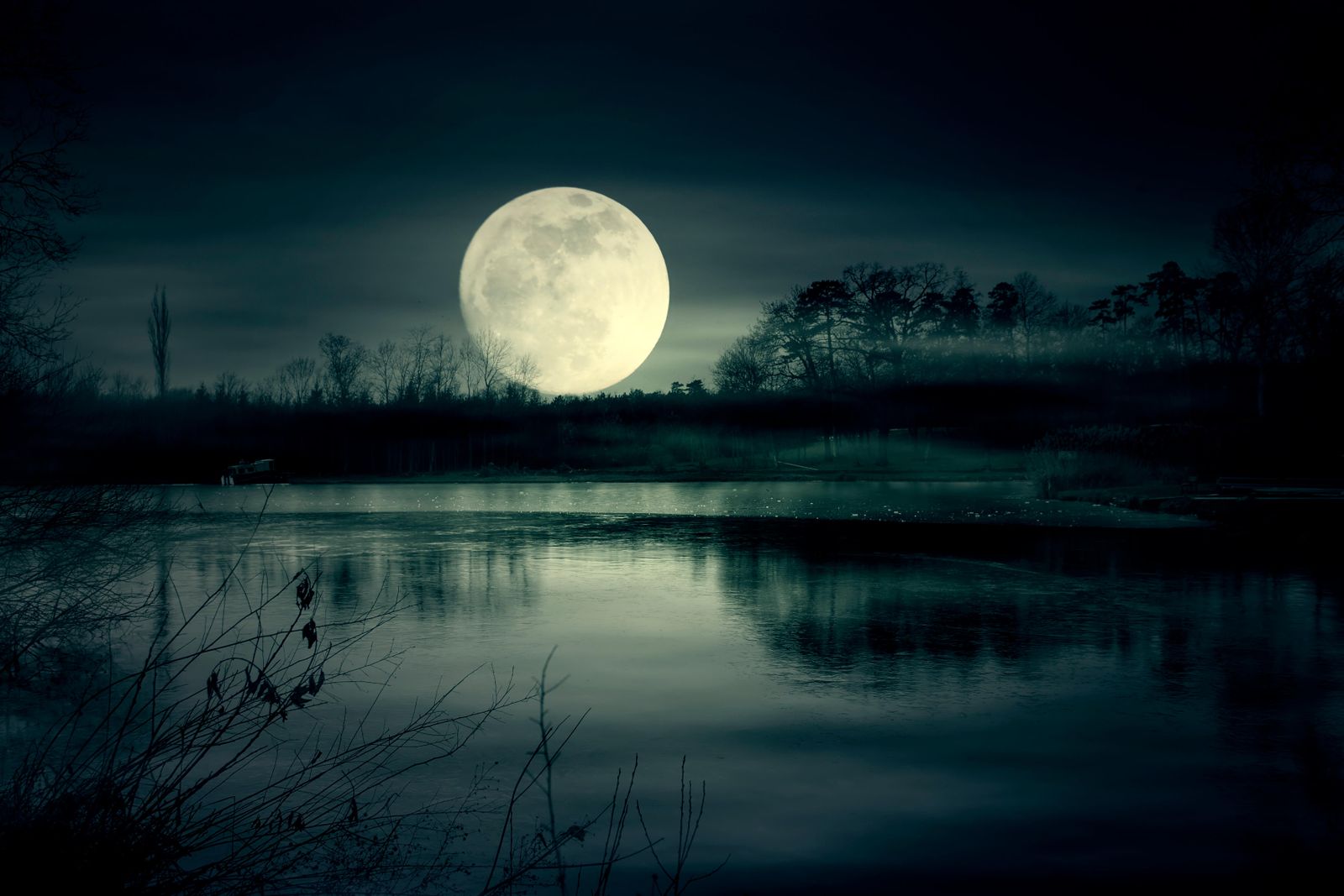 How Moonlight Sets Nature's Rhythms | Science | Smithsonian Magazine