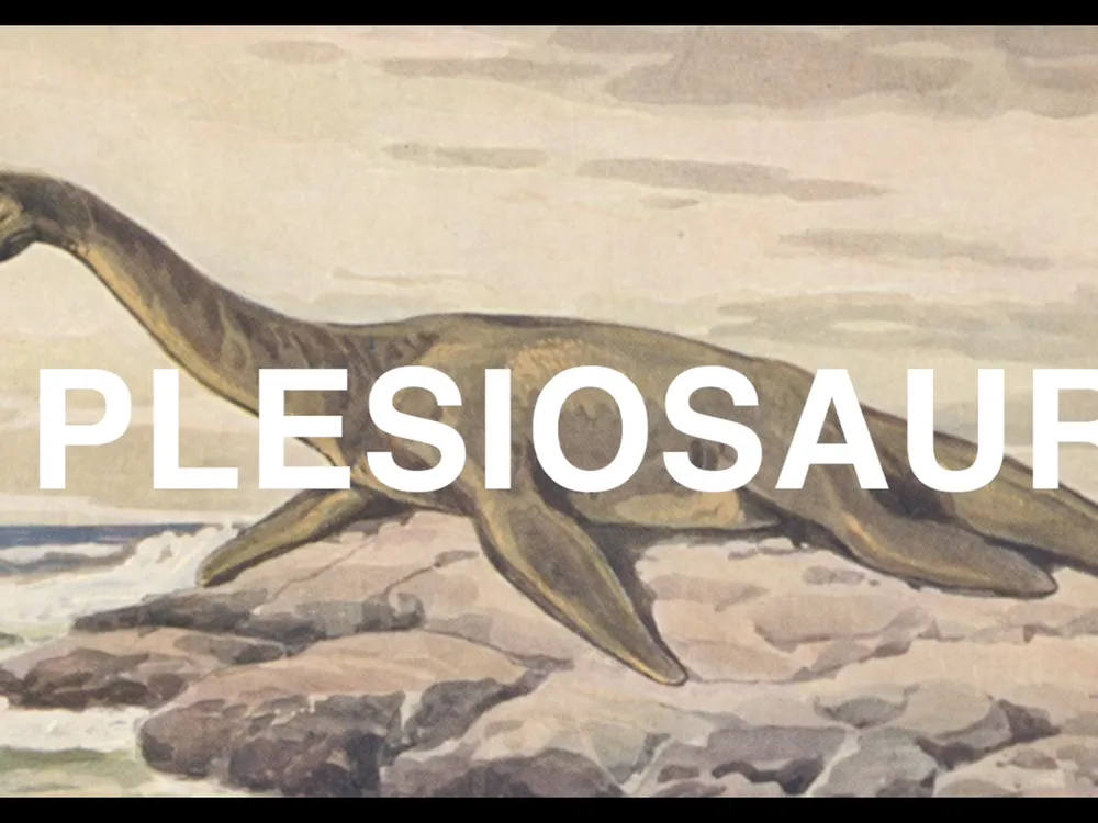 Was the Loch Ness Monster a Plesiosaur? Smithsonian paleontologist, Hans Sues, answers your questions in the National Museum of Natural History’s YouTube series, “The Doctor Is In.” (Smithsonian Institution)   